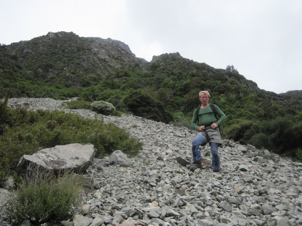 We descended the Wakefield waterfalls, the steep vegetated bluffs behind David.
