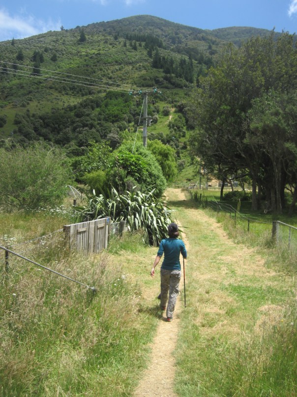 Walking through some farmland.