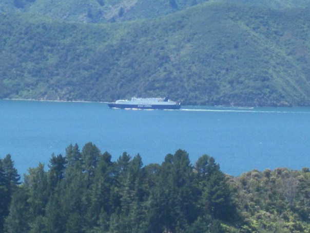 The Interislander ferry in the distance