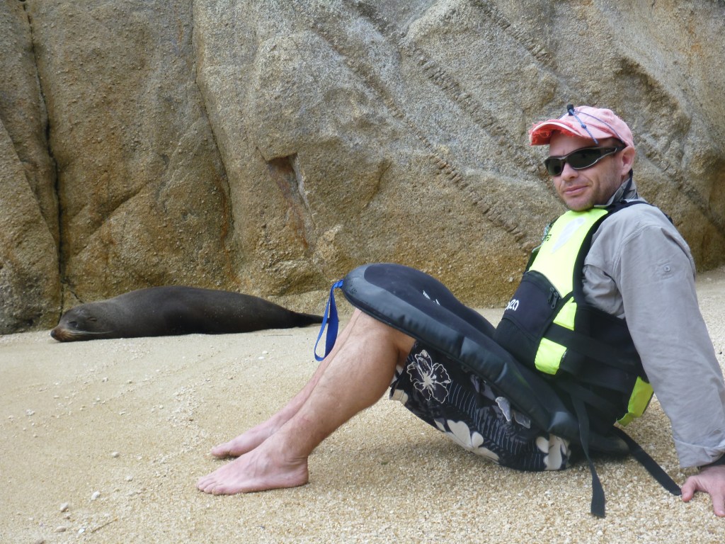 The seals are very trusting and like to lie and sleep.