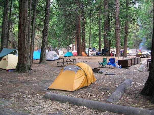 My kiwi designed 'MACPAC' tent in Camp 4, Yosemite valley.