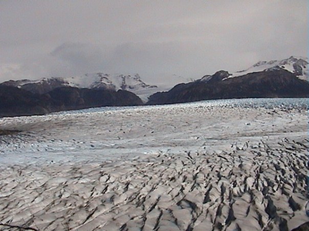 The magnificent Gray Glacier