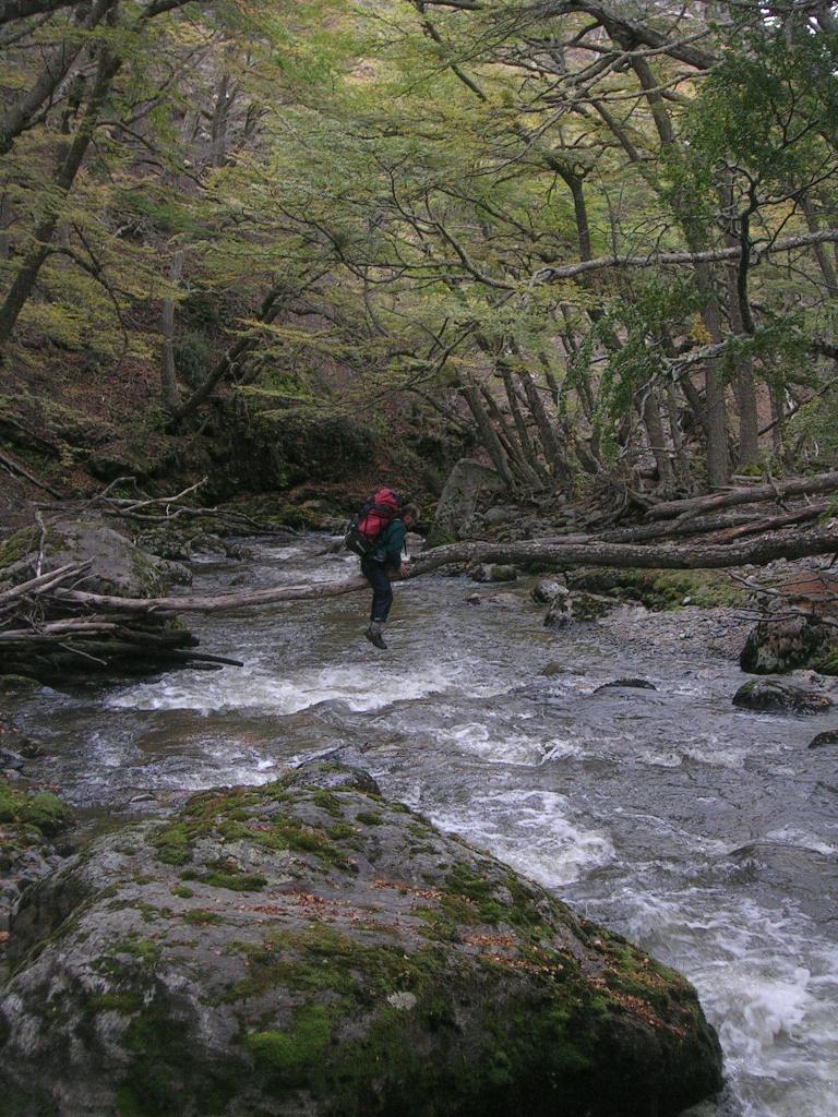 Crossing a stream on a fallen log