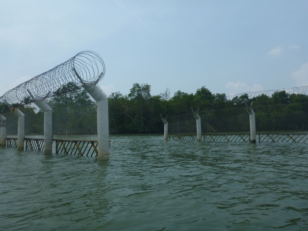 Finding the whole in the fence to access the mangroves and the river mouth entrance