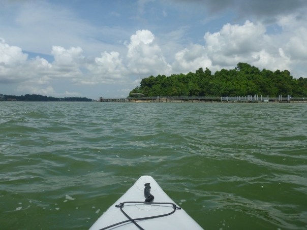 The tide was so low we had to paddle a long way off Chek Jawa Marine Reserve on Pulau Ubin.