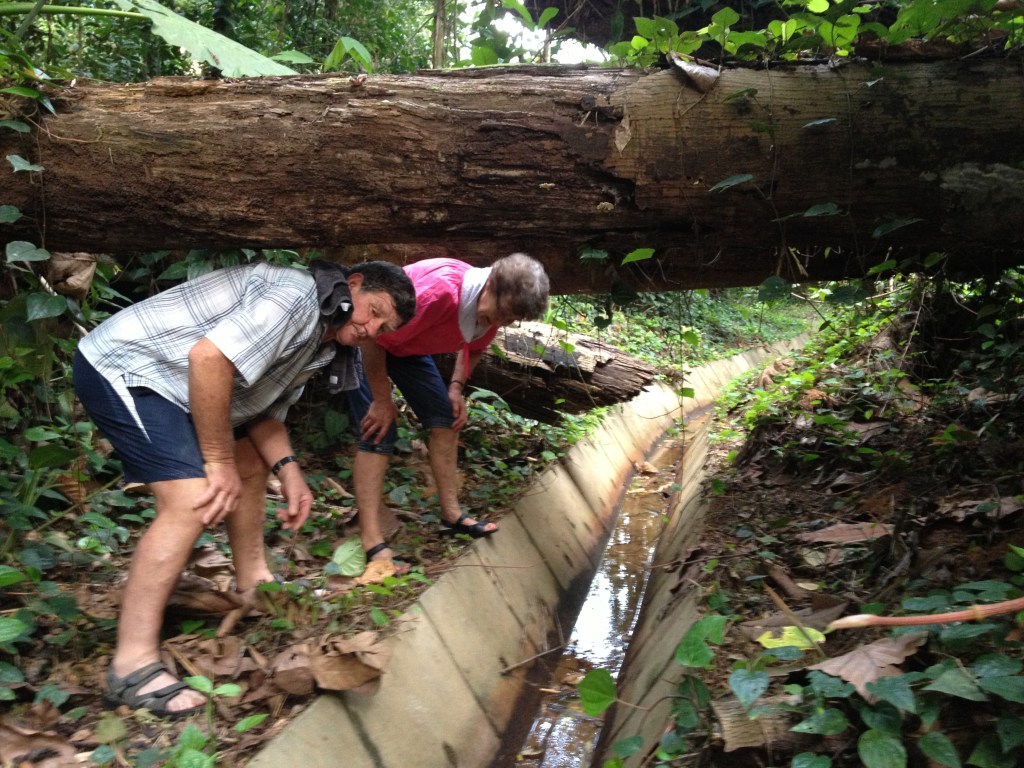 Heading into the jungle