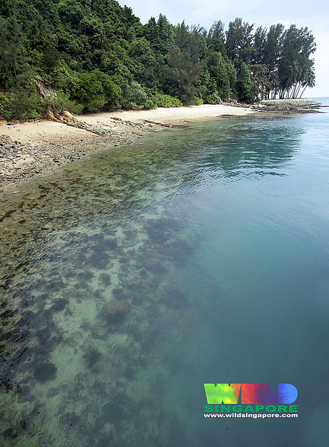 444441437_7a7f7d836e_z