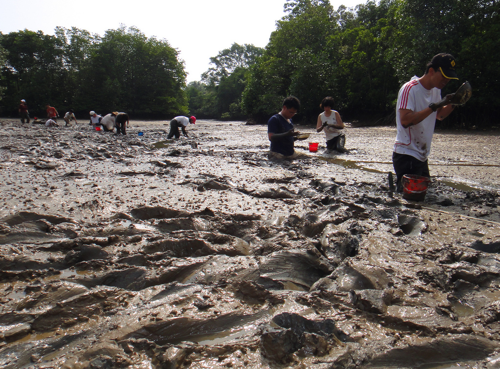 5438175031_1c0925f65a_b