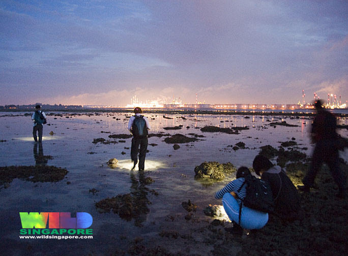 5581734870_ec91e1e055_b