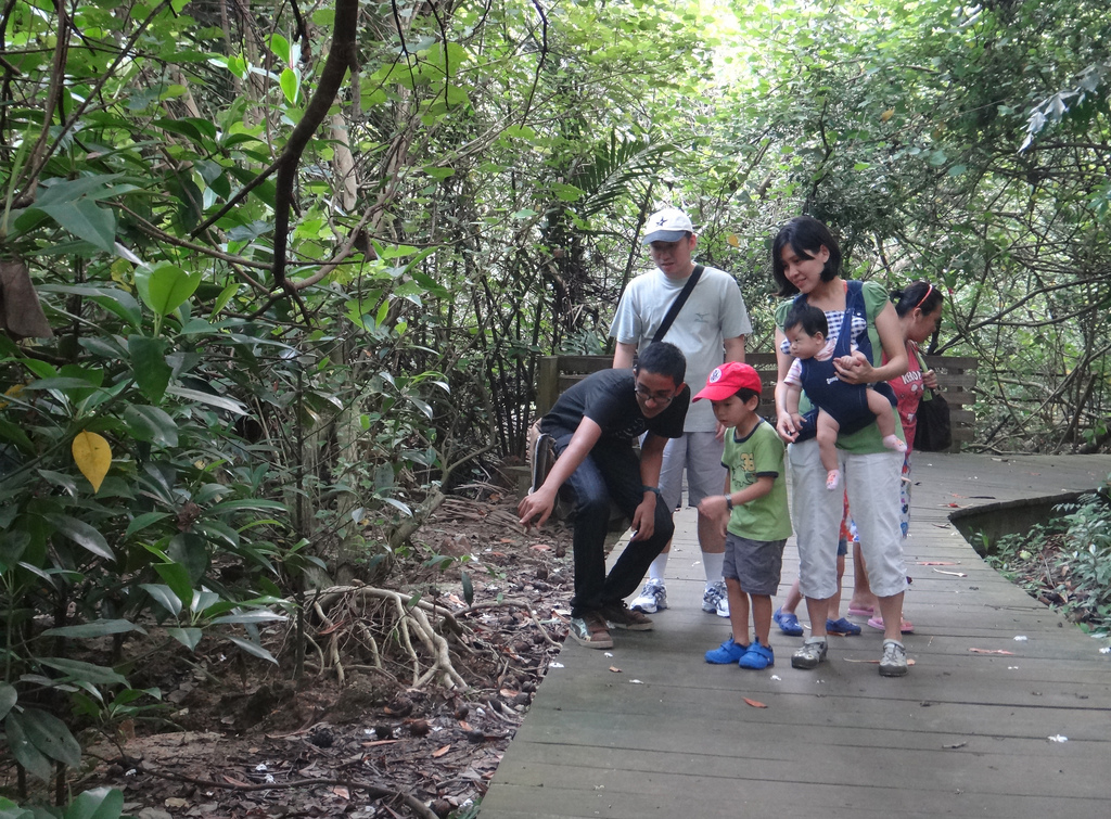 8591861948_0bf7cc48b3_b