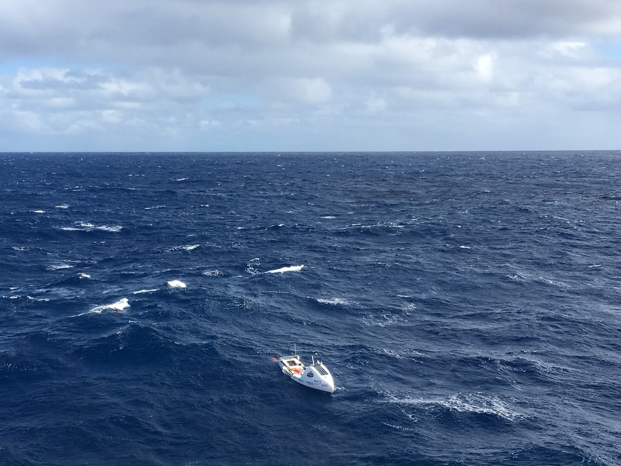 Last photo of the donkey